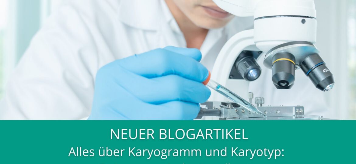 Karyogramm und Karyotyp